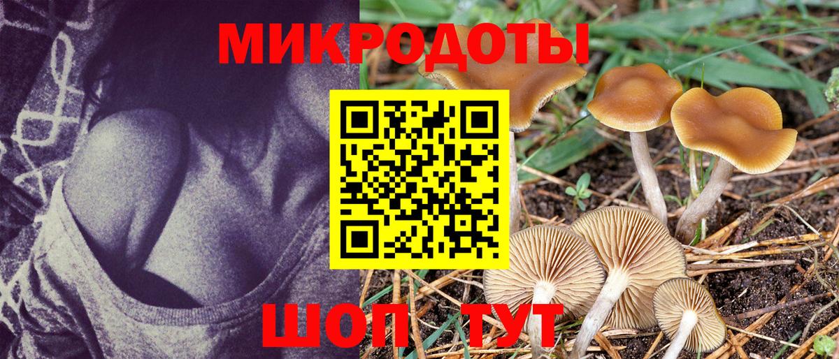 Псилоцибиновые грибы MAGIC MUSHROOMS Горно-Алтайск