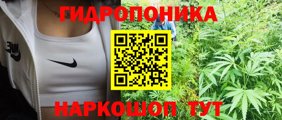 Каннабис марихуана  Вход с VPN  МАРИХУАНА марихуана  Марихуана марихуана  Горно-Алтайск  Конопля сатива 